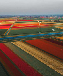 Bunte Niederlande Tulpenfelder Diamond Painting