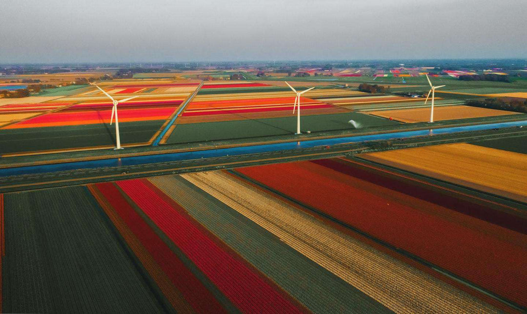 Kleurrijk Nederland