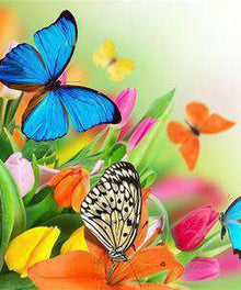 Bunte Schmetterlinge Blumen Diamond Painting