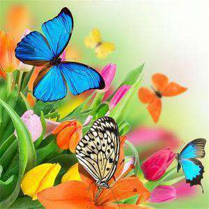 Bunte Schmetterlinge Blumen Diamond Painting