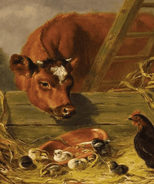 Kuh, Henne und Küken Diamond Painting