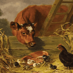 Kuh, Henne und Küken Diamond Painting