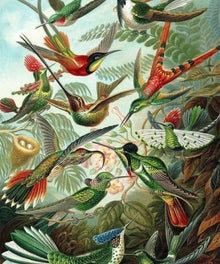 Kolibri Familie Vogelmotiv Diamond Painting
