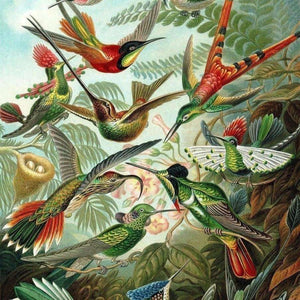 Kolibri Familie Vogelmotiv Diamond Painting