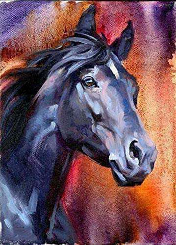 Kunstvolles Pferdeportrait Diamond Painting