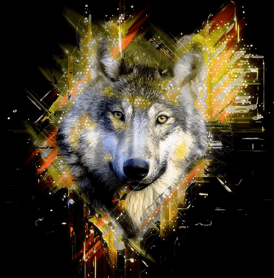 Kunstvoller Wolf Tiermotiv Diamond Painting