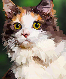 Langhaarige Katze Diamond Painting