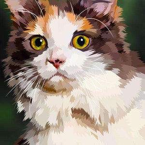 Langhaarige Katze Diamond Painting