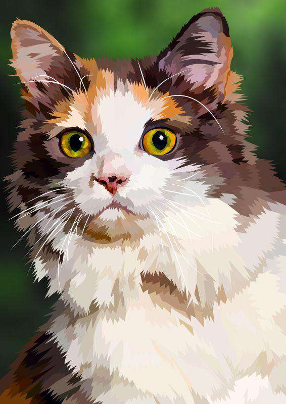 Langhaarige Katze Diamond Painting