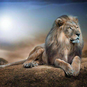 Löwe auf einem Felsen Diamond Painting