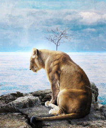 Löwe am Meer Diamond Painting