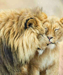 Löwenpaar Diamond Painting