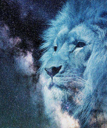 Löwe am Sternenhimmel Diamond Painting