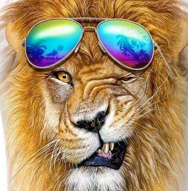 Löwe mit Sonnenbrille Diamond Painting