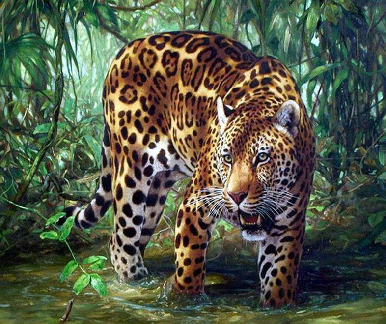 Leopard im Wasser Diamond Painting