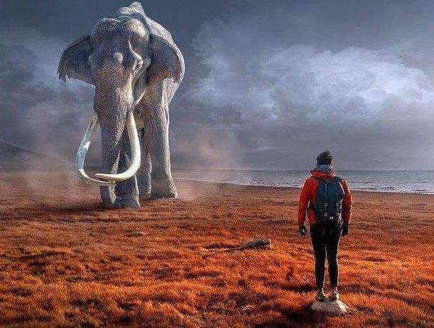 Mammut in der Steppe Diamond Painting