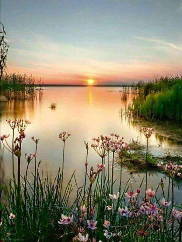 See Sonnenuntergang Diamond Painting