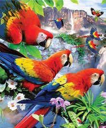 Papageien am Wasserfall Diamond Painting