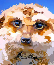 Neugieriges Erdmännchen Diamond Painting
