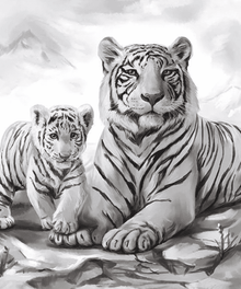 Schöne weiße Tiger Diamond Painting Motiv