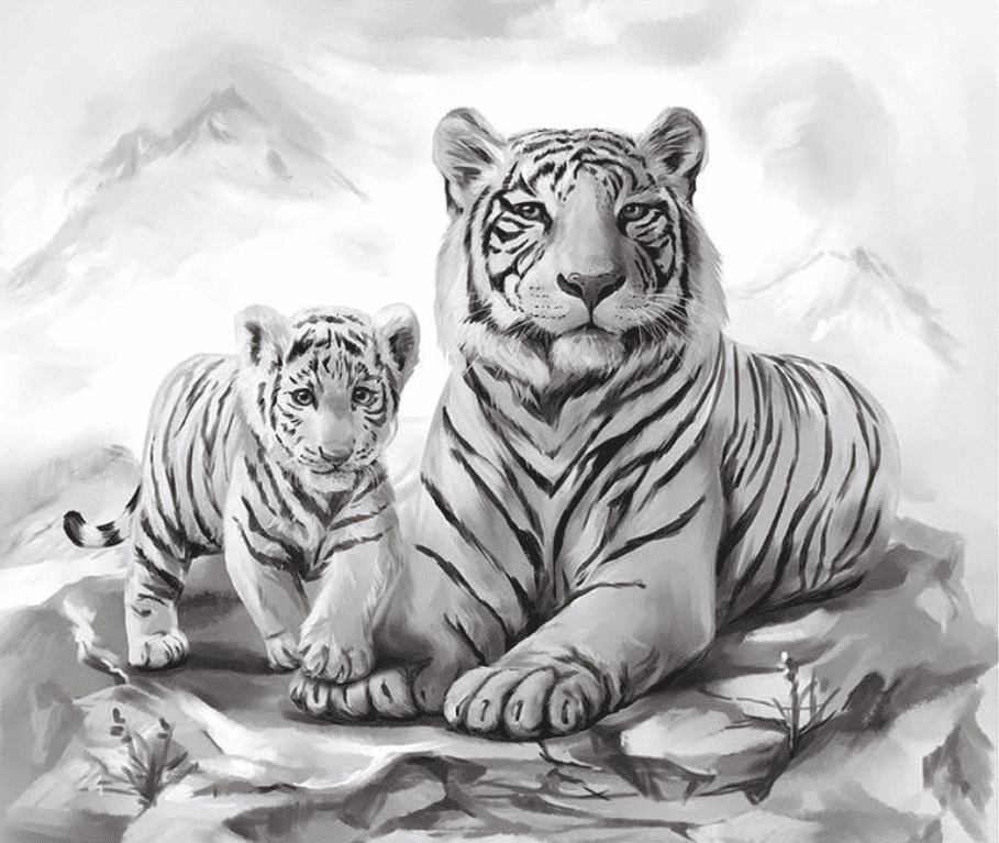 Schöne weiße Tiger Diamond Painting Motiv
