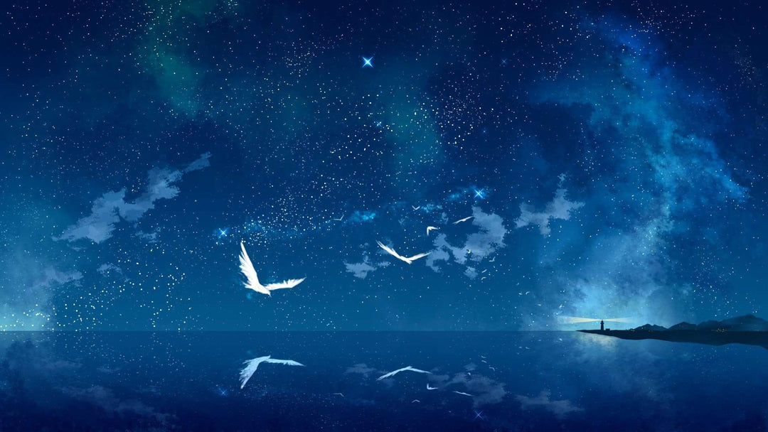 Nachtvögel am Sternenhimmel Diamond Painting Motiv