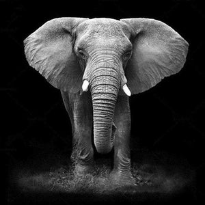Porträt des Elefanten