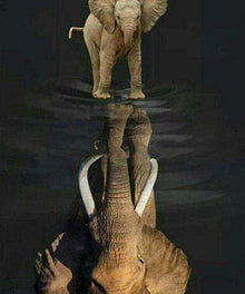 Elefant mit Spiegelbild - Diamond Painting Tiermotiv
