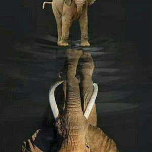 Elefant mit Spiegelbild - Diamond Painting Tiermotiv