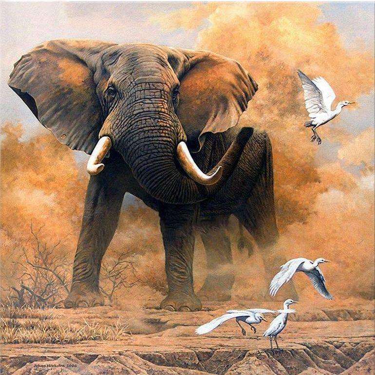 Elefant im Sand mit Vögeln Diamond Painting Motiv