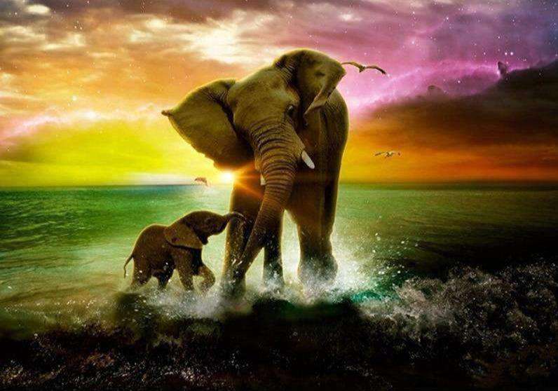 Elefant im Meer bei Sonnenuntergang Diamond Painting Motiv