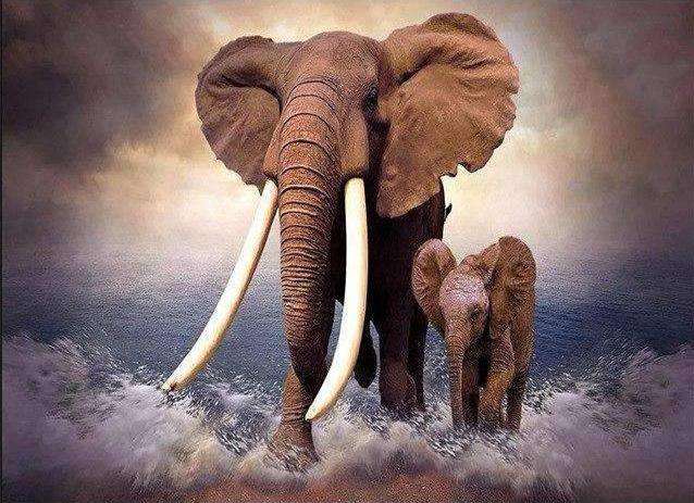 Elefant mit Kalb im Wasser Diamond Painting Motiv