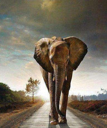 Elefant auf der Straße Diamond Painting Motiv