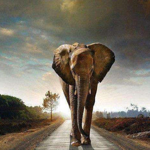 Elefant auf der Straße Diamond Painting Motiv