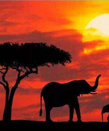 Elefanten bei rotem Sonnenuntergang Diamond Painting Motiv