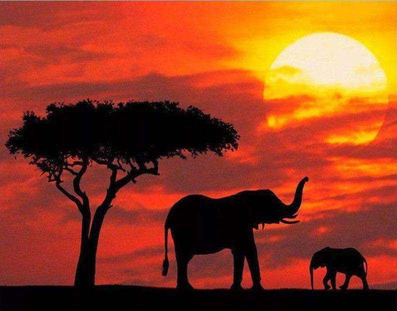 Elefanten bei rotem Sonnenuntergang Diamond Painting Motiv