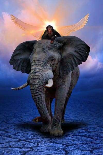Elefant und Affe mit Flügeln Diamond Painting Motiv