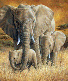 Elefantenfamilie im Gras Diamond Painting Motiv