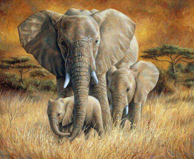 Elefantenfamilie im Gras Diamond Painting Motiv