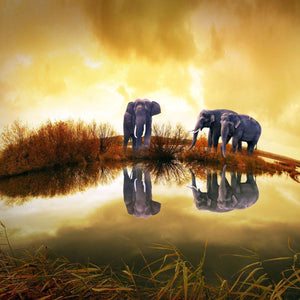 Elefanten am Wasser Panorama Diamond Painting Motiv