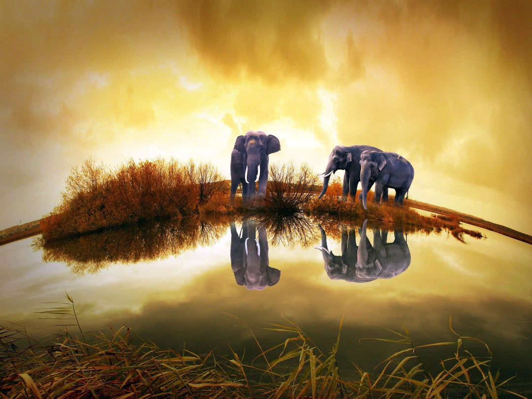 Elefanten am Wasser Panorama Diamond Painting Motiv
