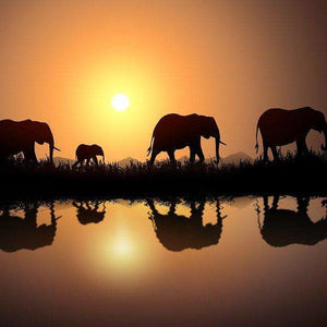 Elefanten Reflexion bei Sonnenuntergang Diamond Painting Motiv