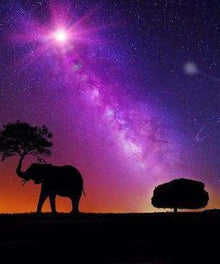 Elefant unter Sternenhimmel Diamond Painting Motiv