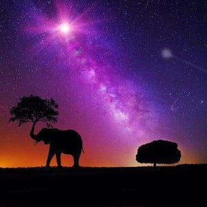 Elefant unter Sternenhimmel Diamond Painting Motiv