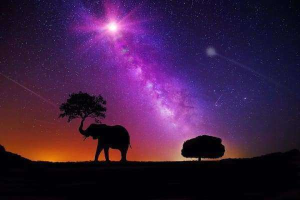 Elefant unter Sternenhimmel Diamond Painting Motiv