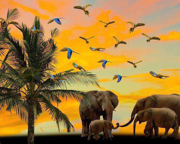 Elefanten und Vögel im Sonnenuntergang Diamond Painting Motiv