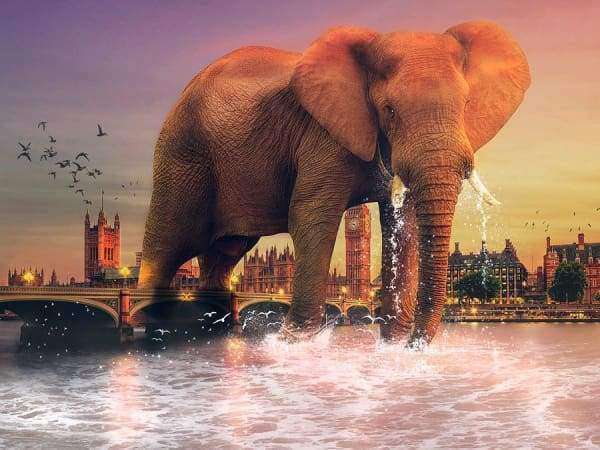 Elefant in London an der Themse Diamond Painting Motiv