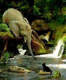 Elefant mit schwarzer Katze Diamond Painting Motiv