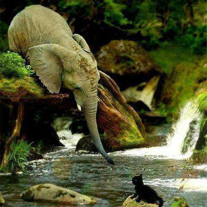 Elefant mit schwarzer Katze Diamond Painting Motiv