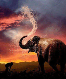 Elefant mit Wasserfontäne Diamond Painting Motiv